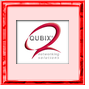 Qubix Networking Solutions